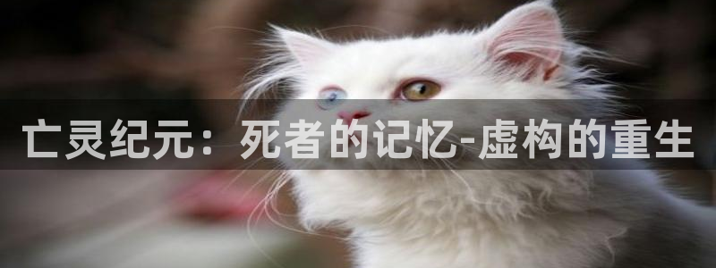 天堂动漫网站入口：亡灵纪元：死者的记忆-虚构的重生