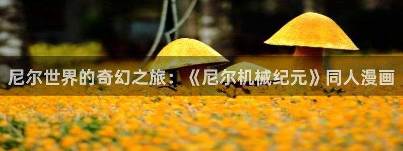 姐妹天堂动漫：尼尔世界的奇幻之旅：《尼尔机械纪元》同人漫画
