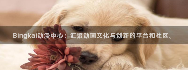 美妙天堂动漫：Bingkai动漫中心：汇聚动画文化与创新的平台和社区。