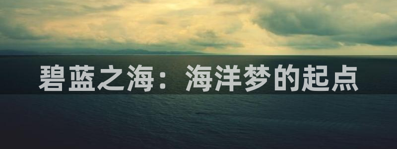 天堂动漫在线免费观看：碧蓝之海：海洋梦的起点