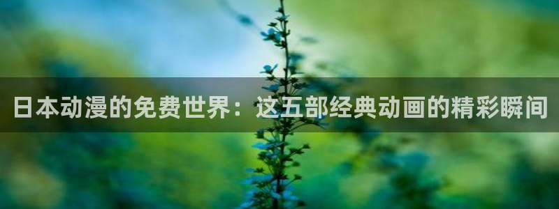 天堂动漫网站入口：日本动漫的免费世界：这五部经典动画的精彩瞬间